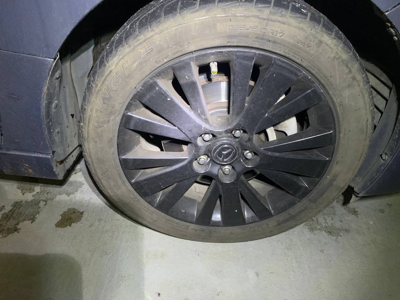 Шина TRIANGLE TR968 215/50R17 95V